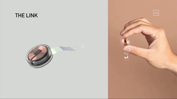 Elon Musk giving a livestream update a<em></em>bout Neural<em></em>ink's brain implant microchip development on August 28, 2020