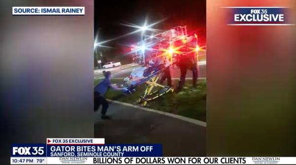 The man was rushed to a nearby hospital, and surgeons saved his life by amputating his arm at the elbow, according to FWC.