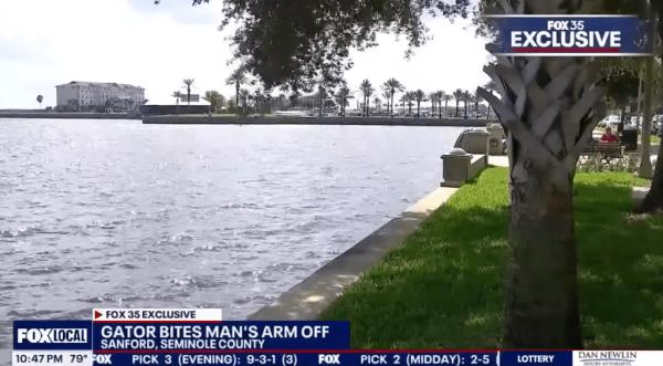 The daredevil, who was o<em></em>nly identified as a 31-year-old man, was bitten around 2 a.m. Sunday in Seminole County's Lake Monroe.