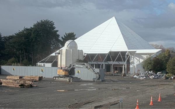 The tuatara were found at Invercargill's old museum, wher<em></em>e dismantling has begun.