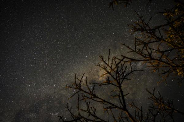 在澳大利亚第一个城市黑暗天空的地方，明星们抢尽了风头