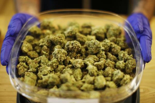 马萨诸塞州大麻公司在2023年的销售额破纪录
