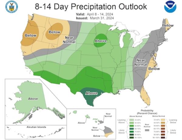 8-14 day rainfall outlook
